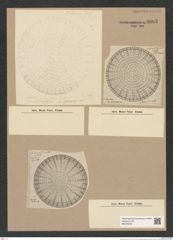Arachnodiscus sp. (de-Toni-Nr.: Genus 204) Zeichnungen Sammlung Grunow Nr. 9003 (NHMW-BOT-W0378709)